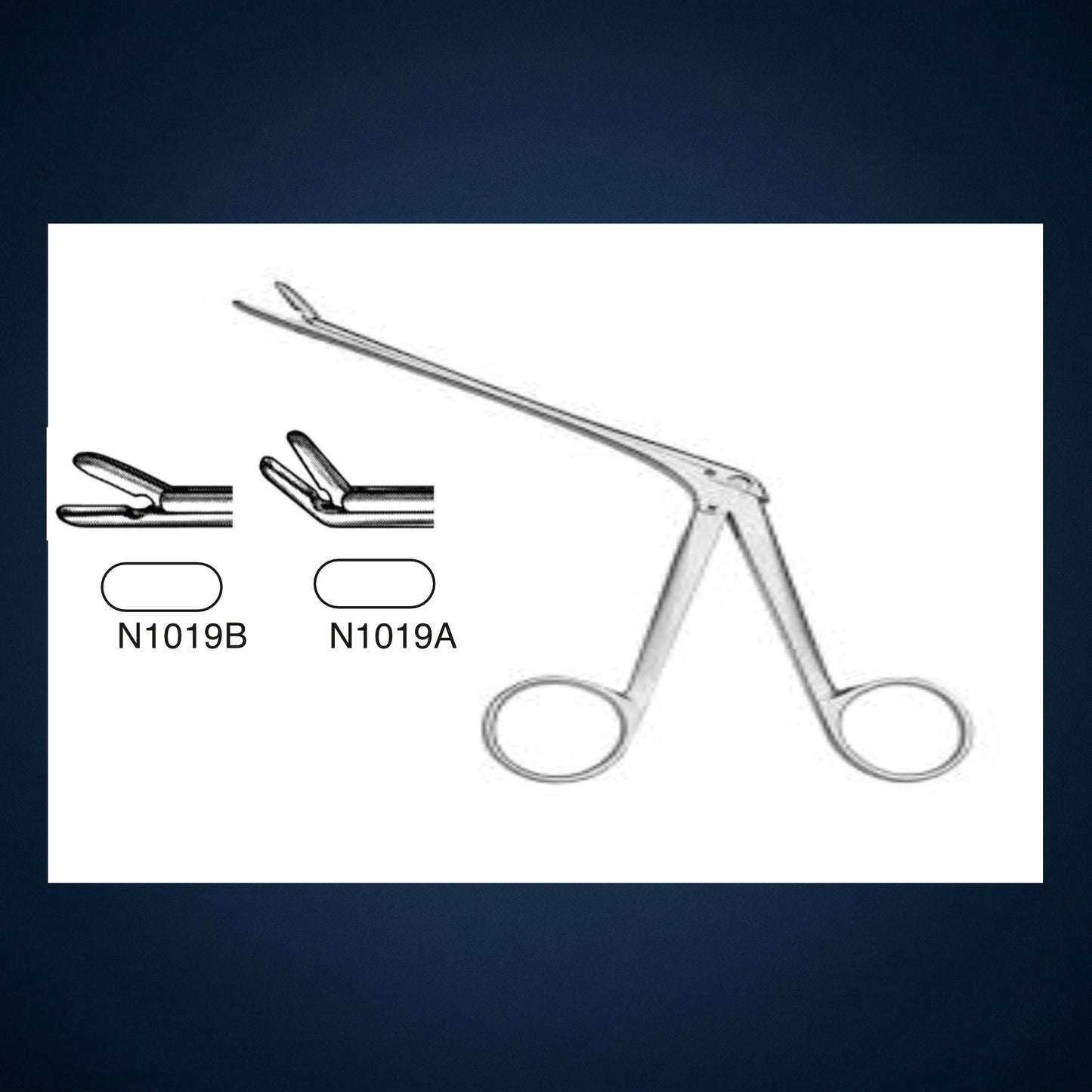 N1019 / TAKAHASHI FORCEPS