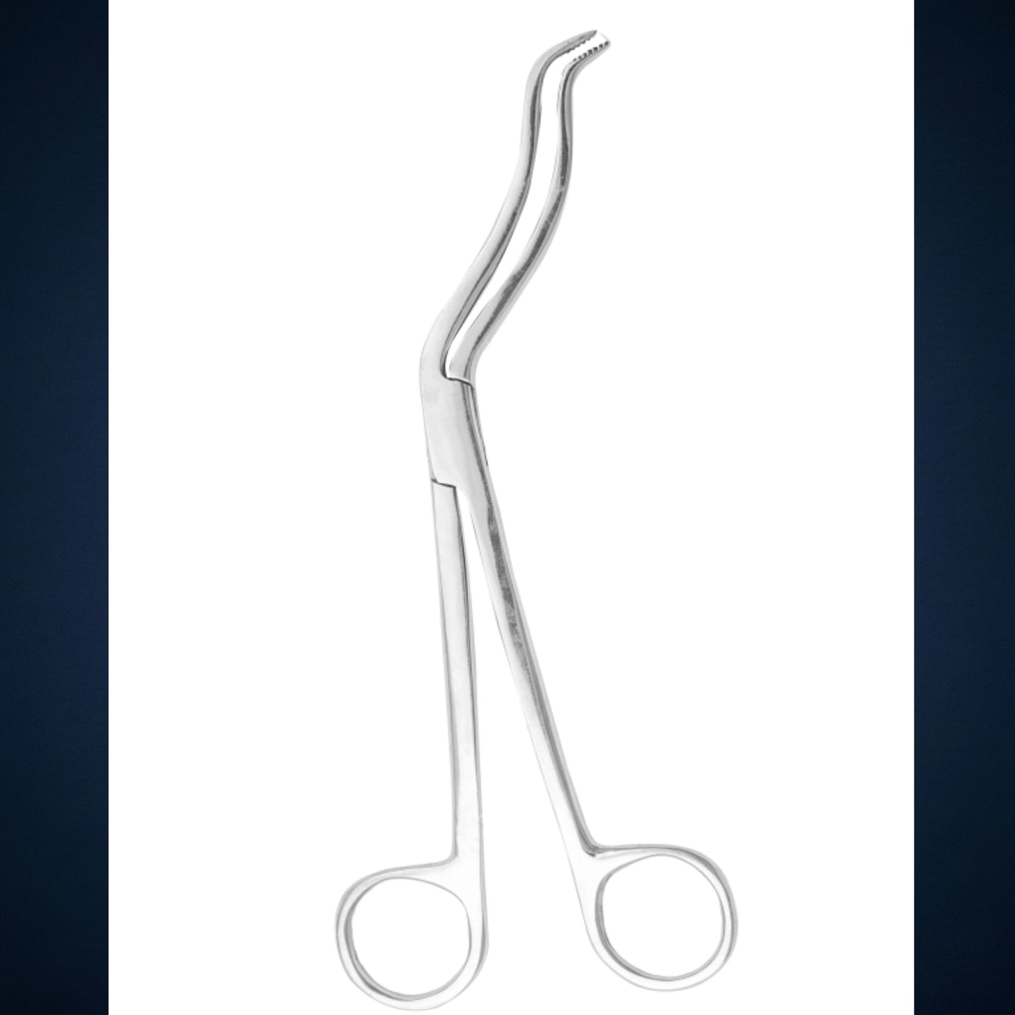 GI219 / CHITTEL FORCEPS