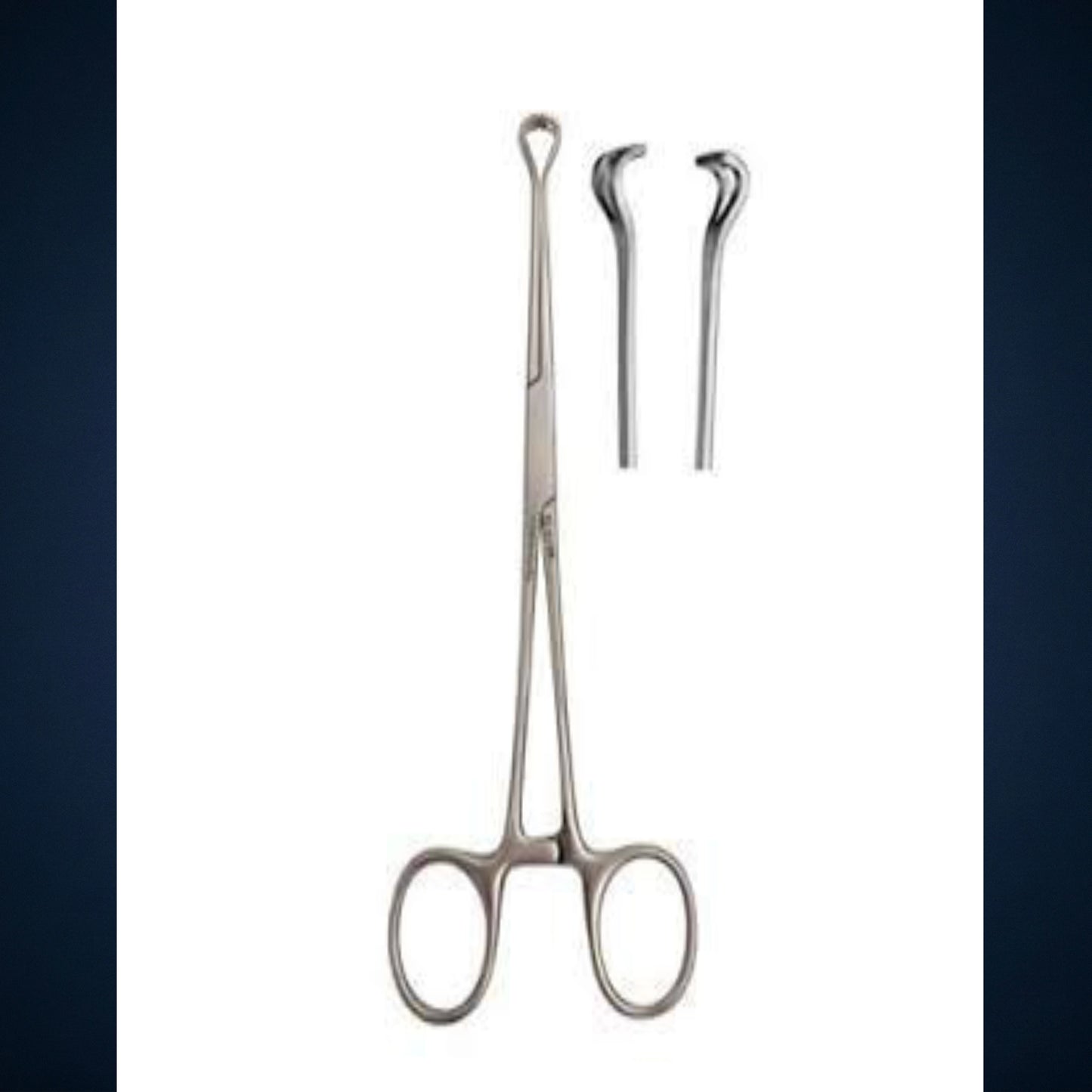 BABCOCK FORCEPS