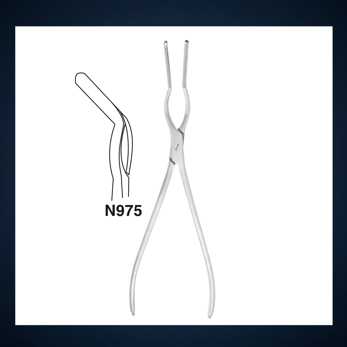 N975 / ASH SEPTUM FORCEPS ANGLED