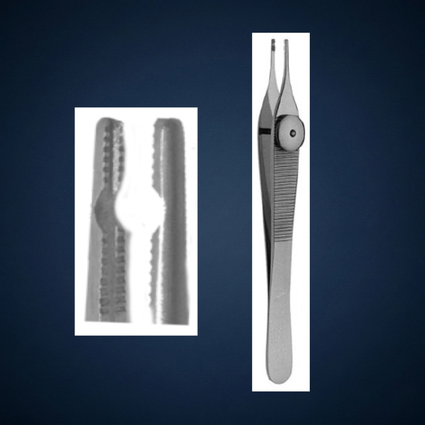 E1013 / OSCICLE HOLDING / INCUS / BONE HOLDING FORCEPS